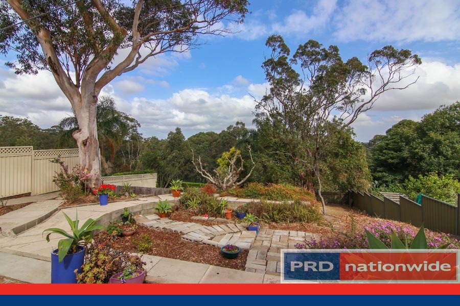 6 Old Forest Road LUGARNO 14