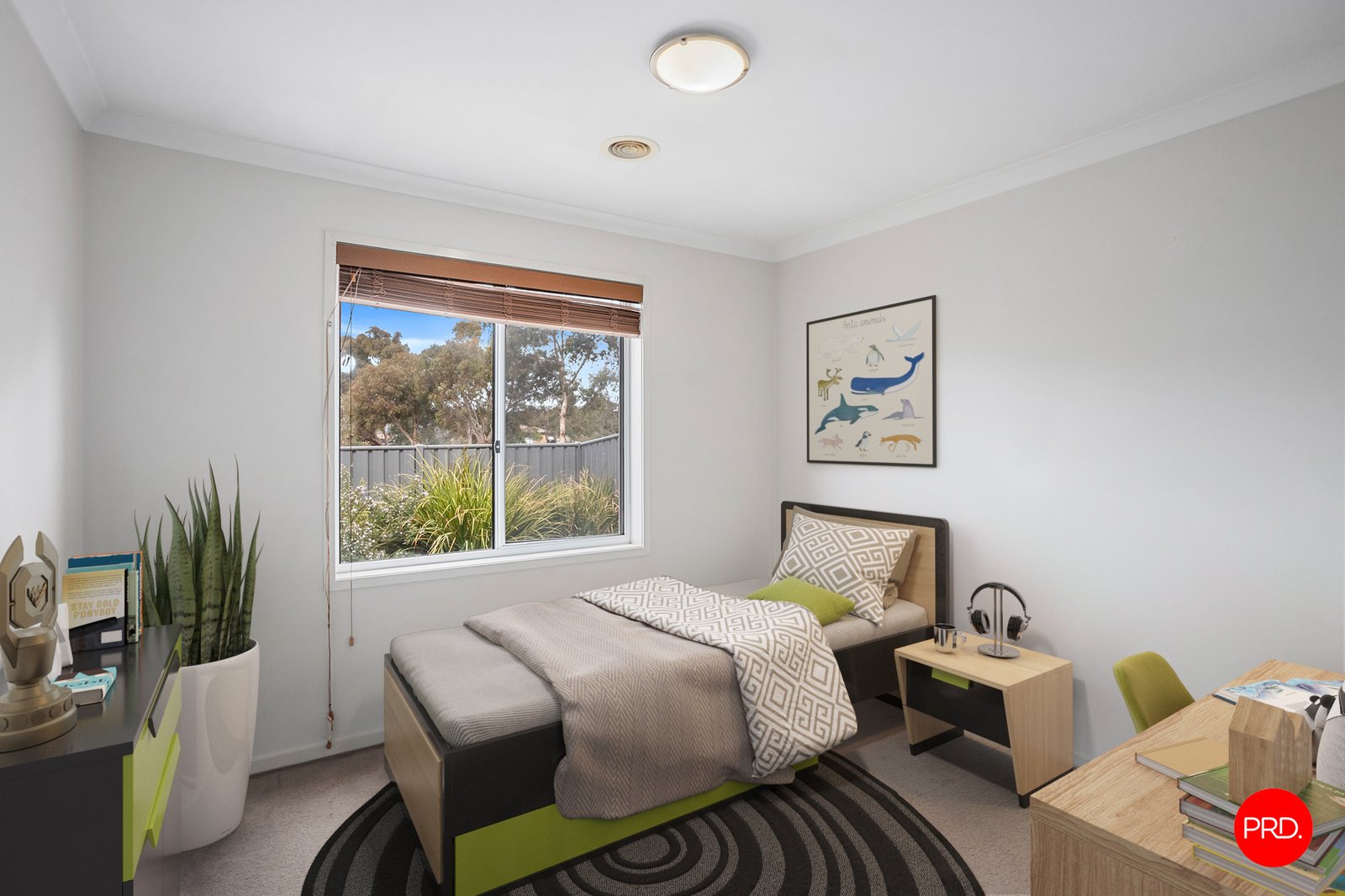 6 Pamela Avenue JACKASS FLAT 8