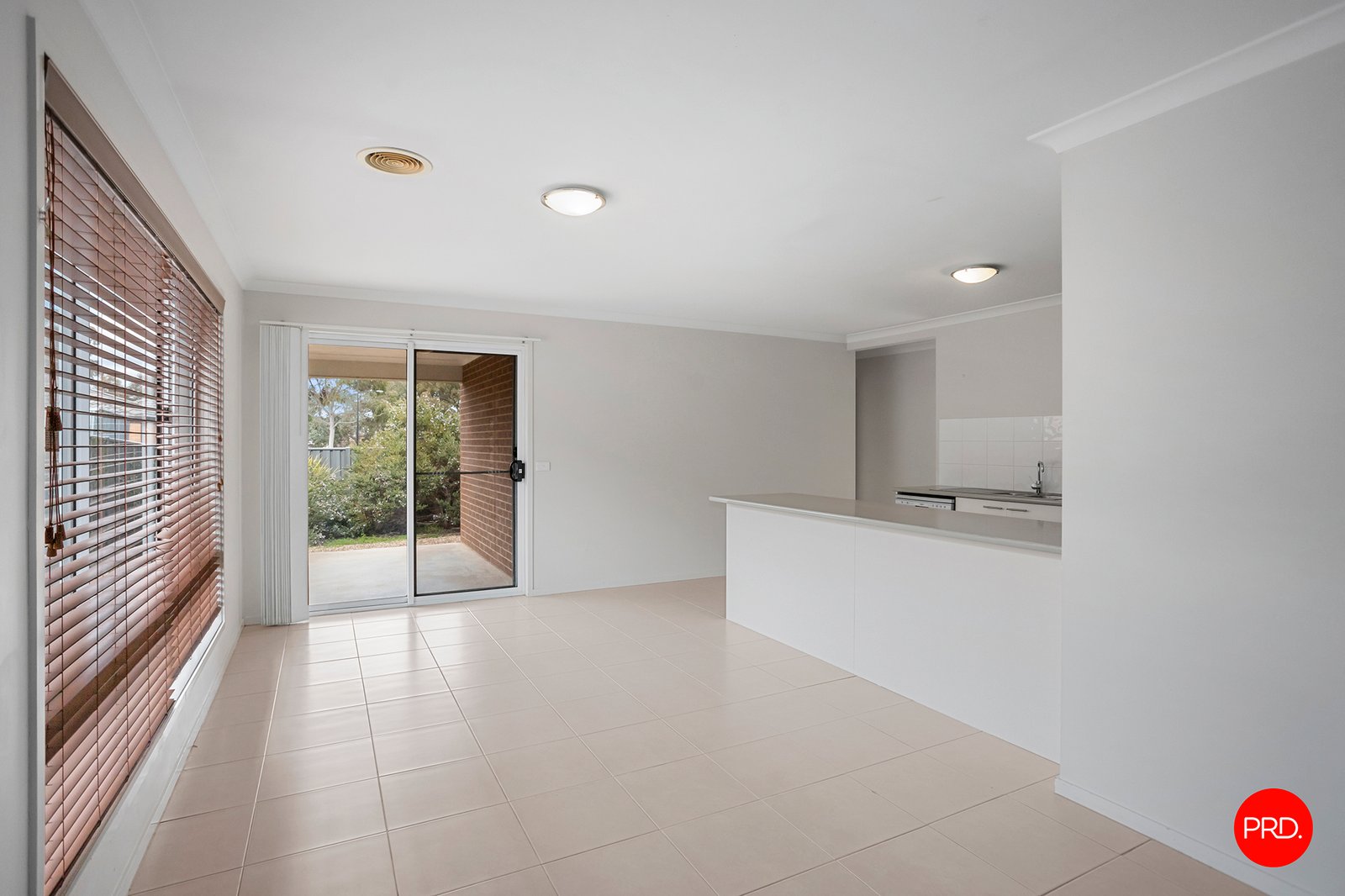 6 Pamela Avenue JACKASS FLAT 5