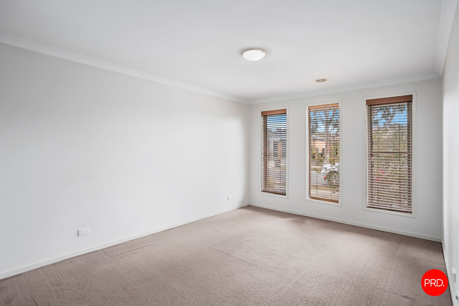6 Pamela Avenue JACKASS FLAT 6