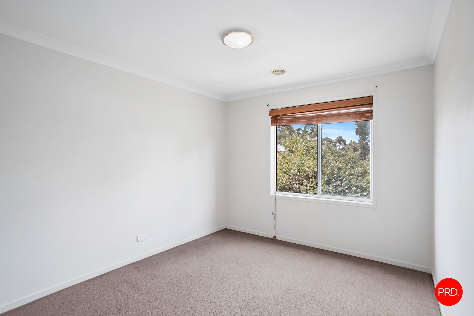 6 Pamela Avenue JACKASS FLAT 9