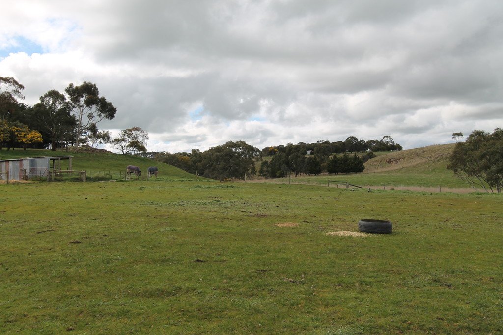 6 Pett Street SKIPTON 15