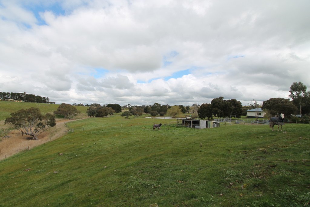 6 Pett Street SKIPTON 18