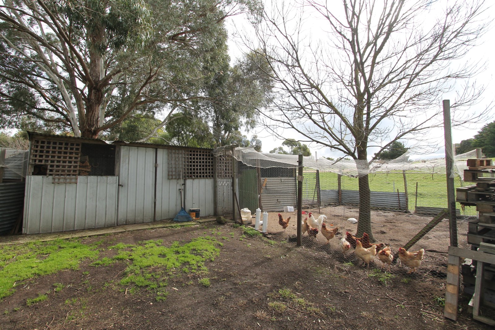 6 Pett Street SKIPTON 5