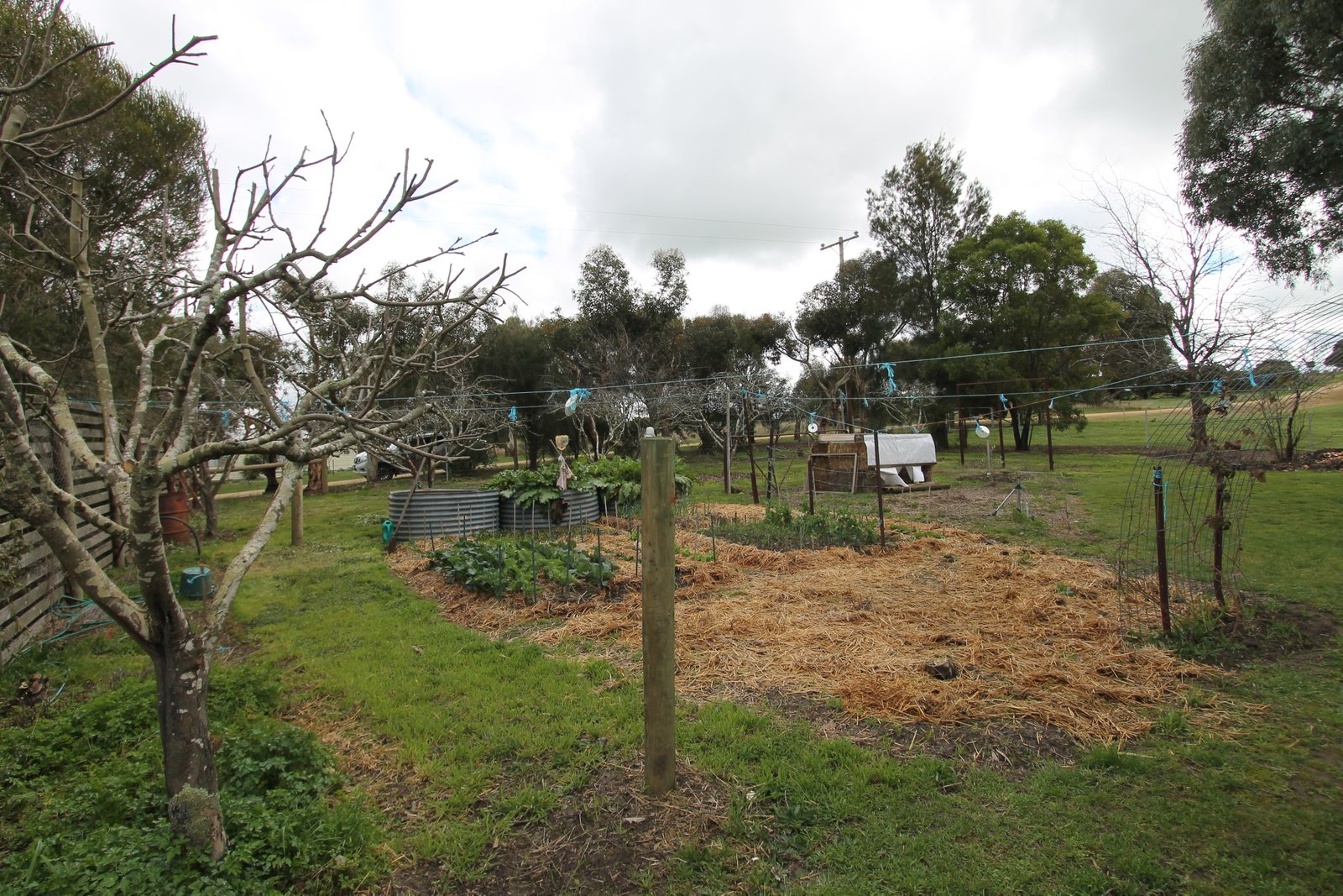 6 Pett Street SKIPTON 10