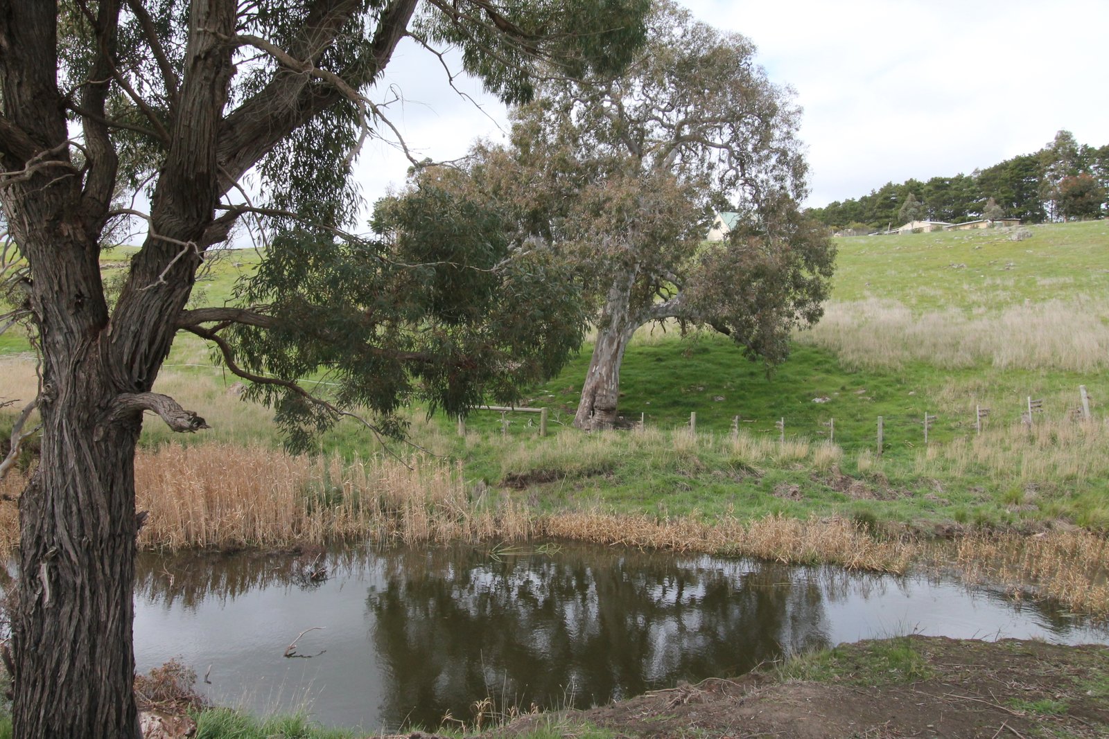 6 Pett Street SKIPTON 16