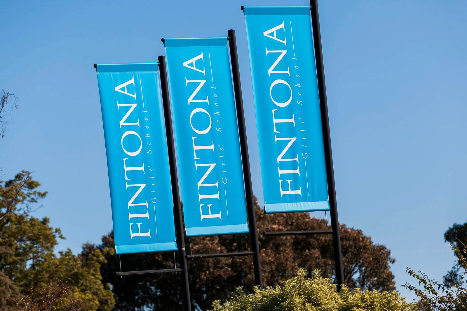 Real Estate and Property in 6 Pin Oak Court, Canterbury, VIC