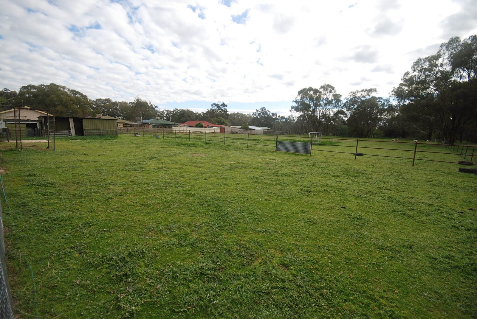 6 Power Street LAKE ALBERT 12