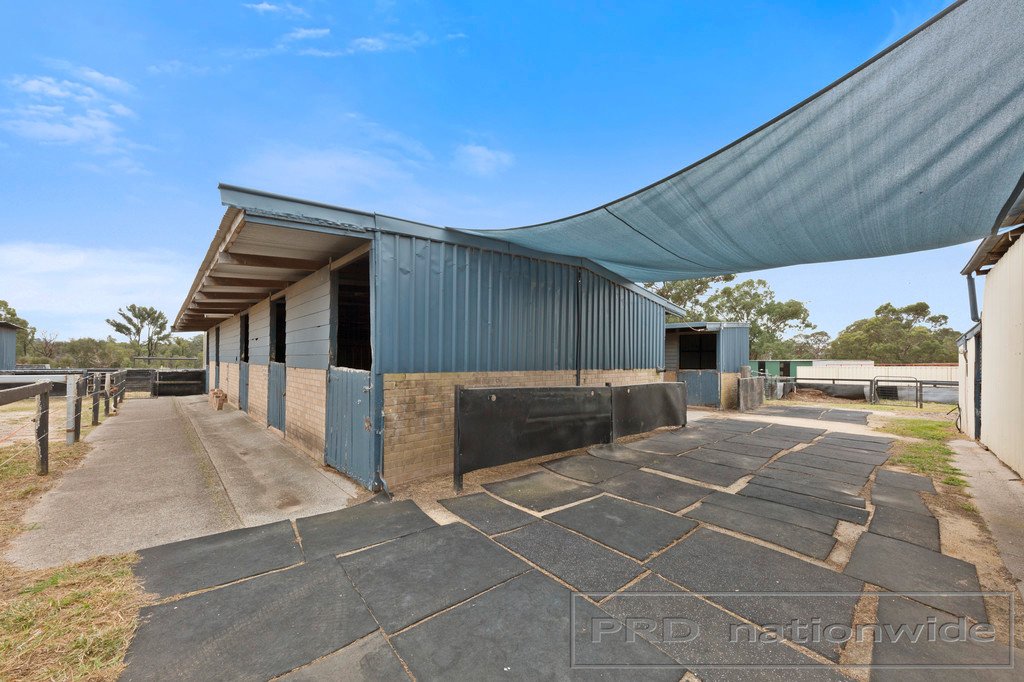 6 Racecourse Road CESSNOCK 8