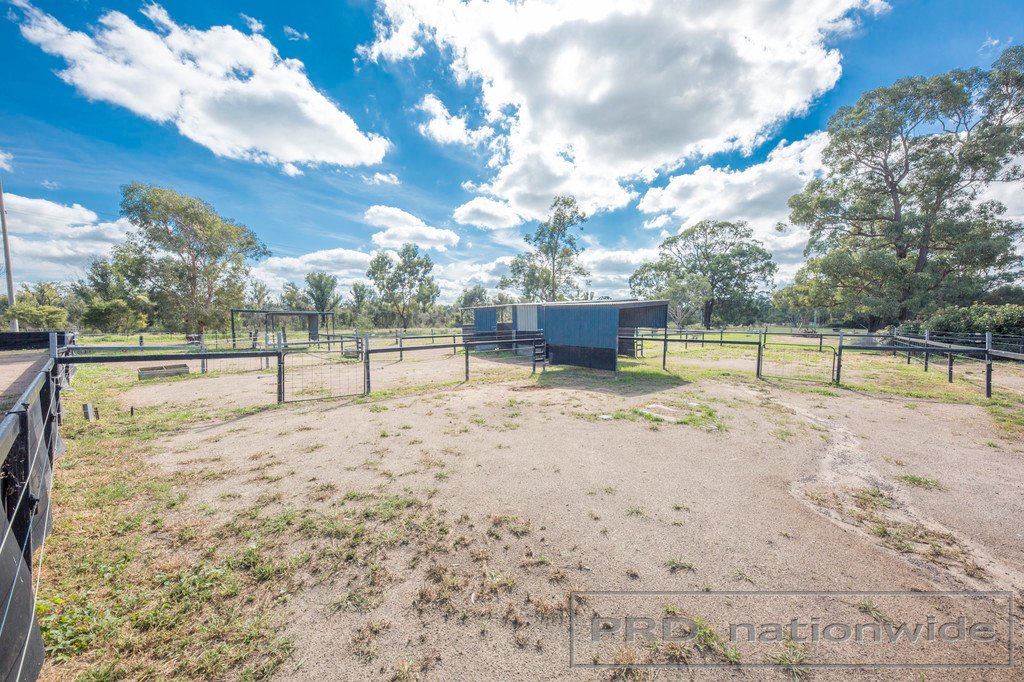 6 Racecourse Road CESSNOCK 14