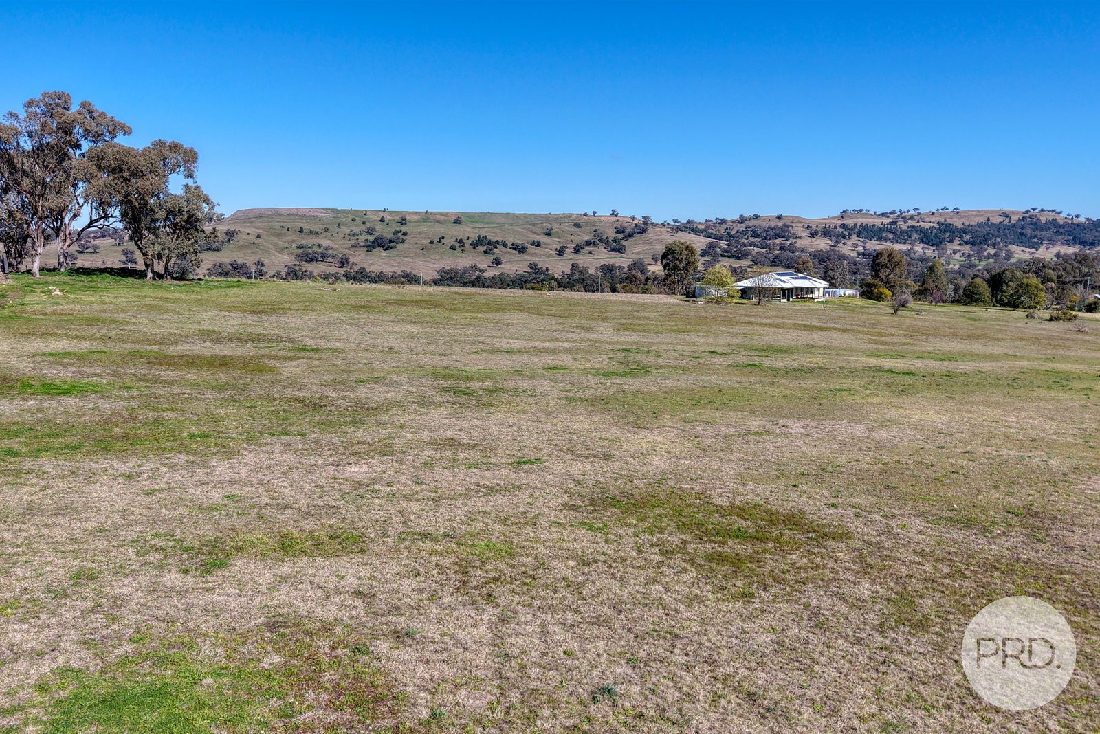 6 Raphie Howard Drive WILLOW TREE 6