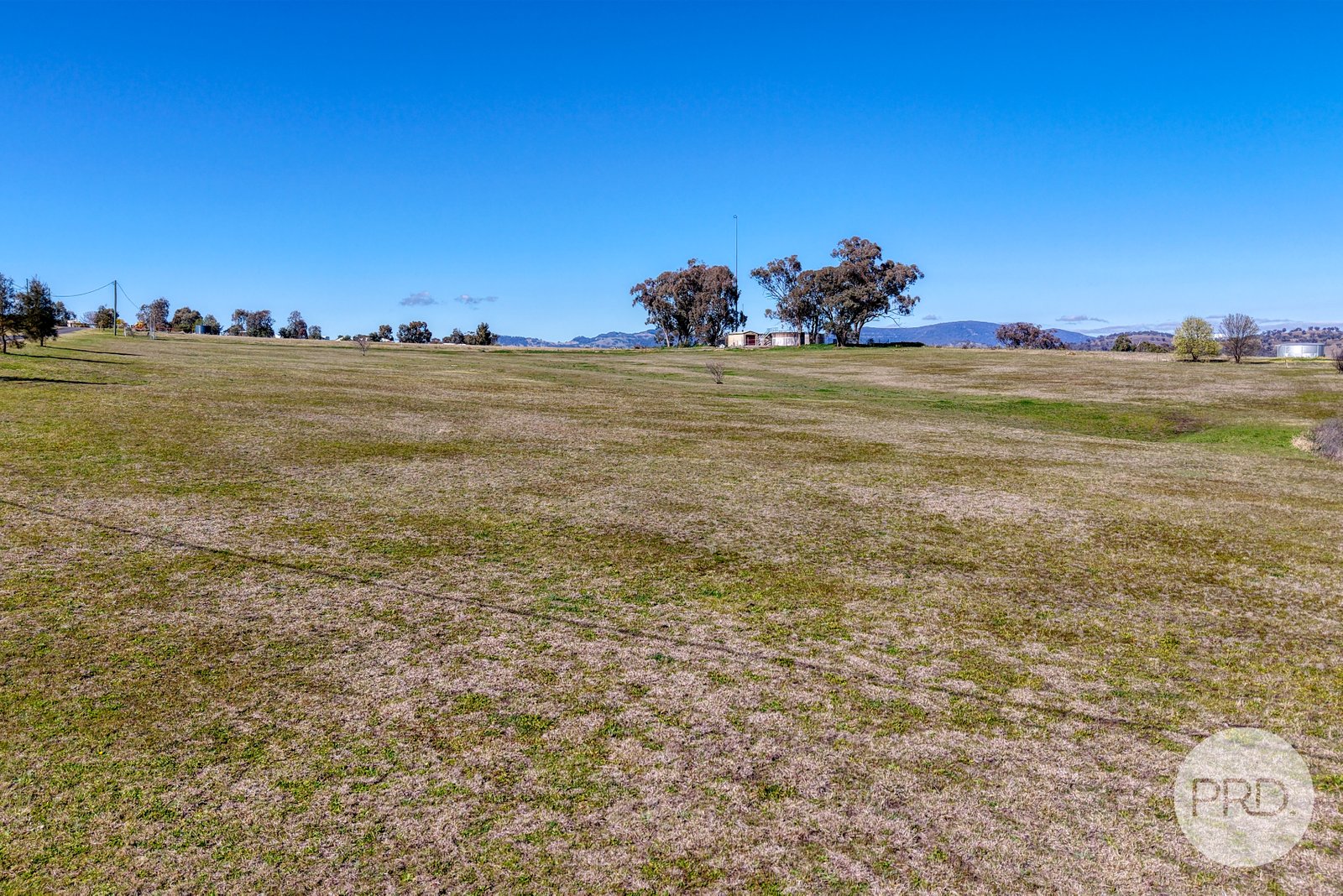 6 Raphie Howard Drive WILLOW TREE 8