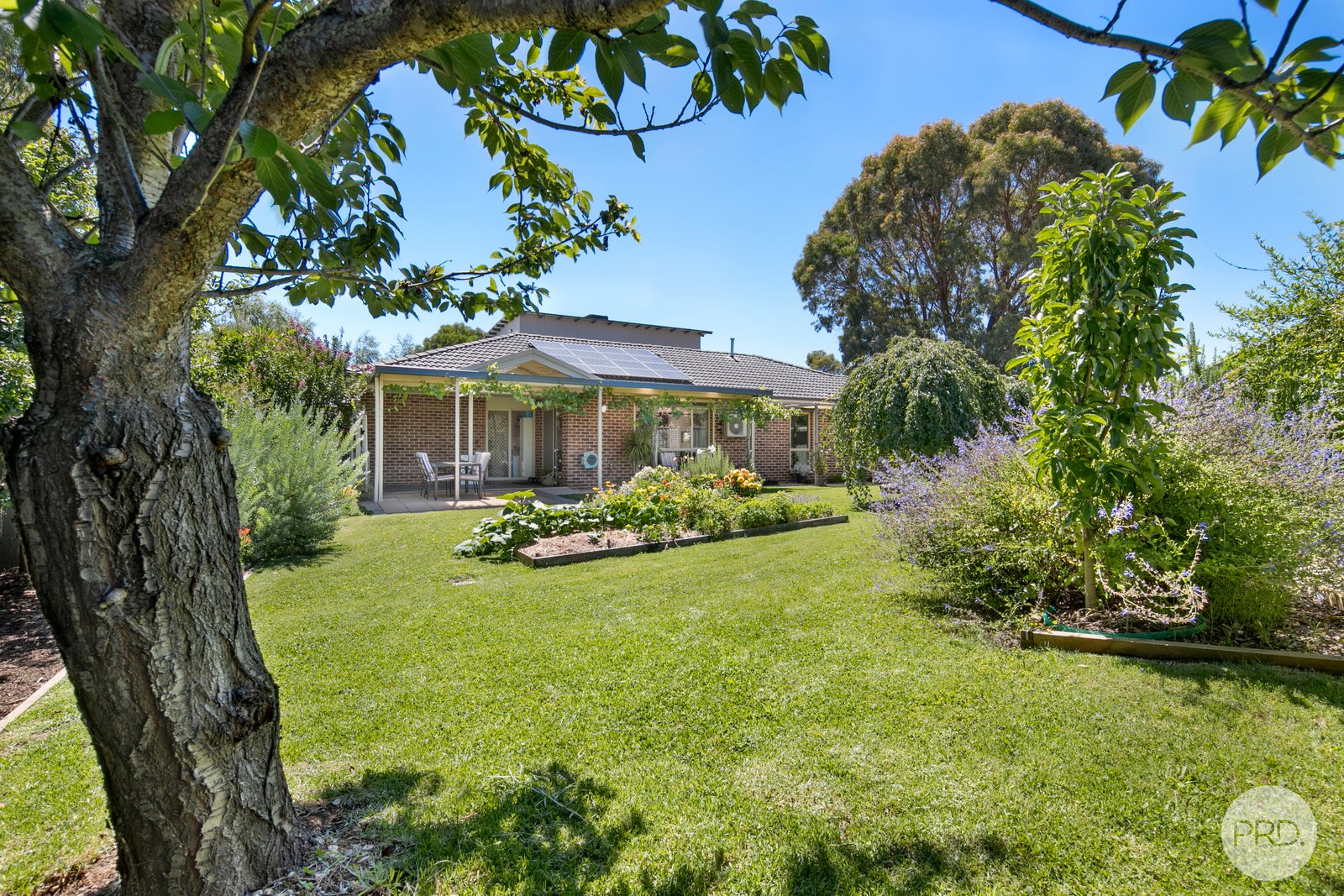 6 Rattray Court CANADIAN 14