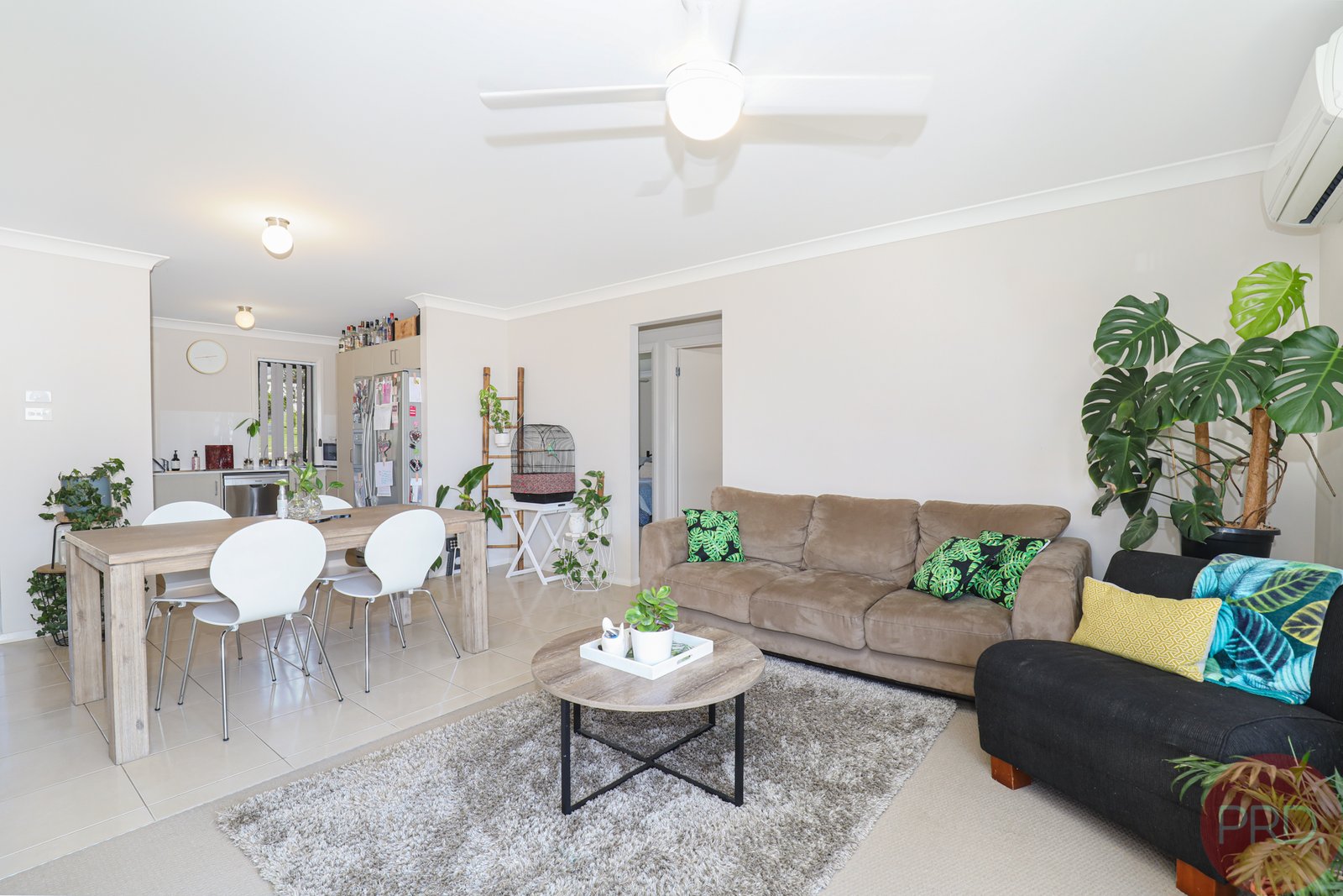 6 Reo Street LARGS 5