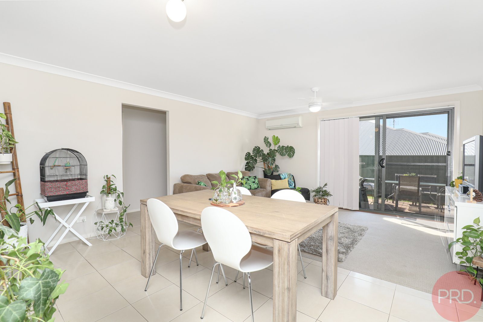 6 Reo Street LARGS 7