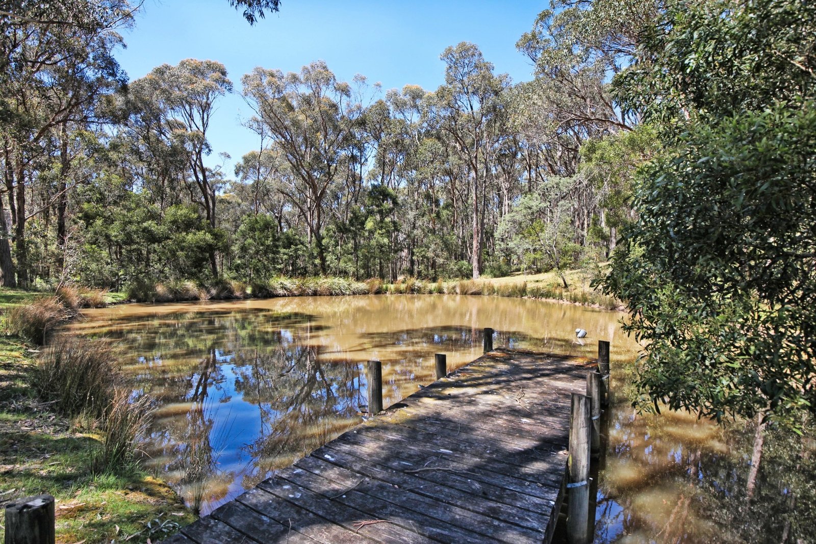 Real Estate and Property in 6 Robert Road, Woodend, VIC