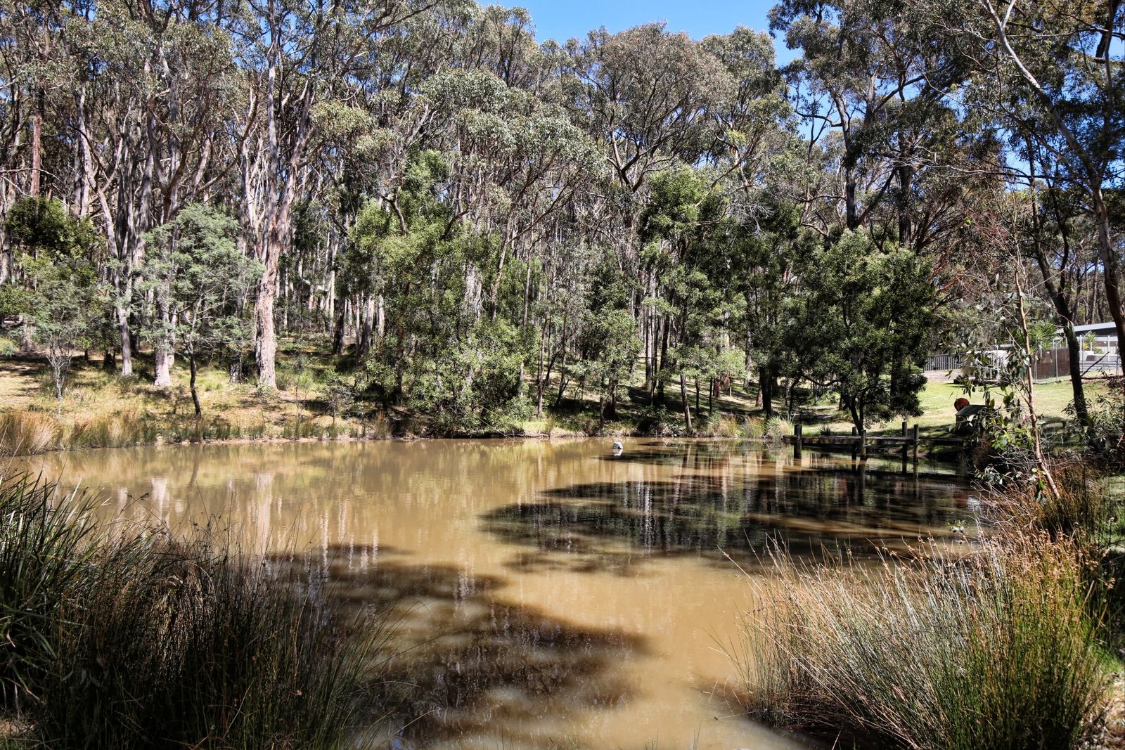 Real Estate and Property in 6 Robert Road, Woodend, VIC