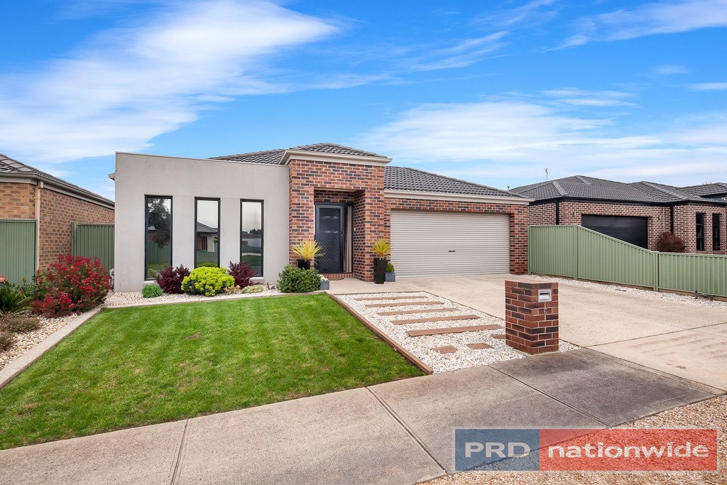 6 Sackville Street MINERS REST 16