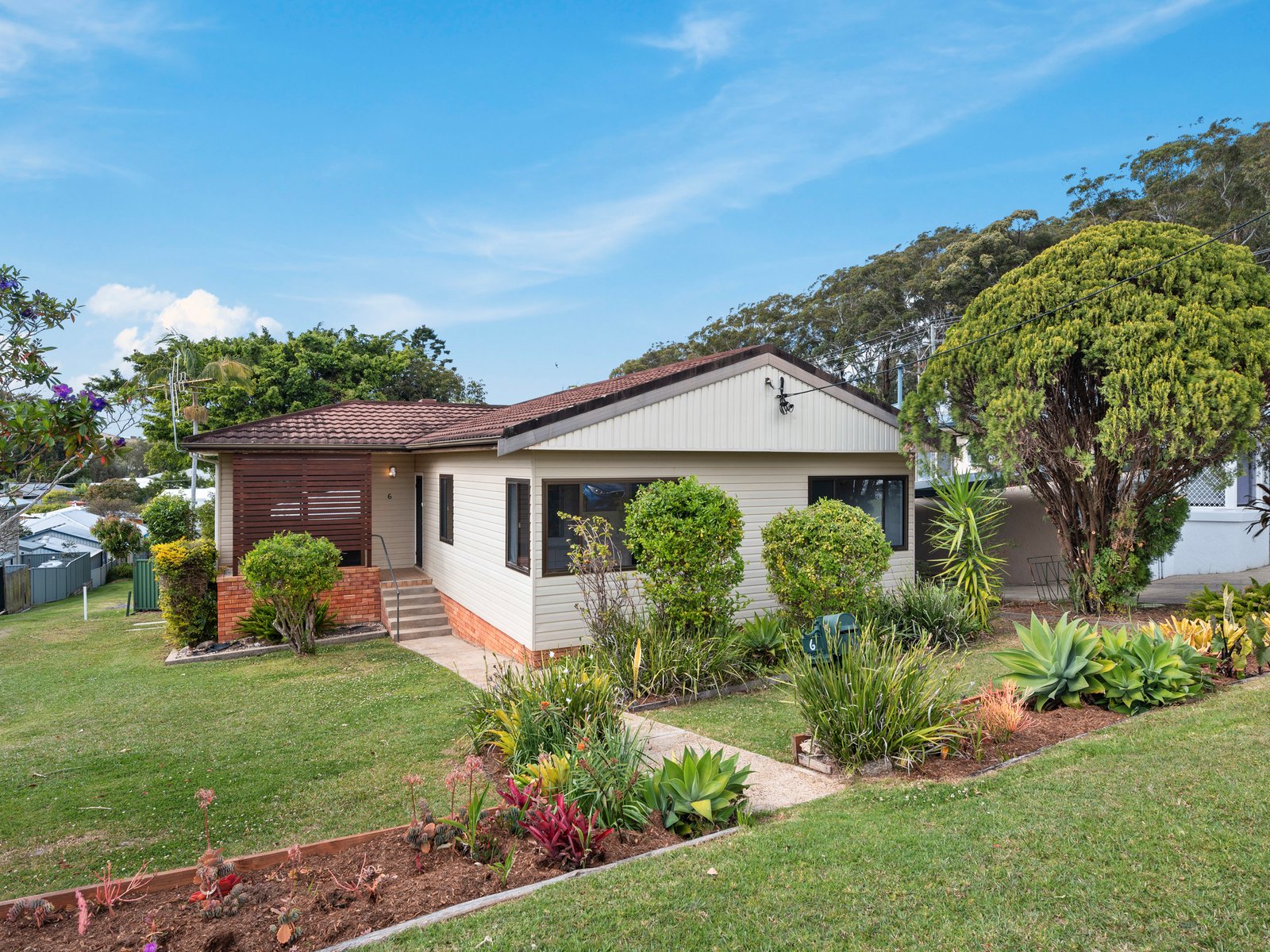 6 Salamander Street COFFS HARBOUR 1