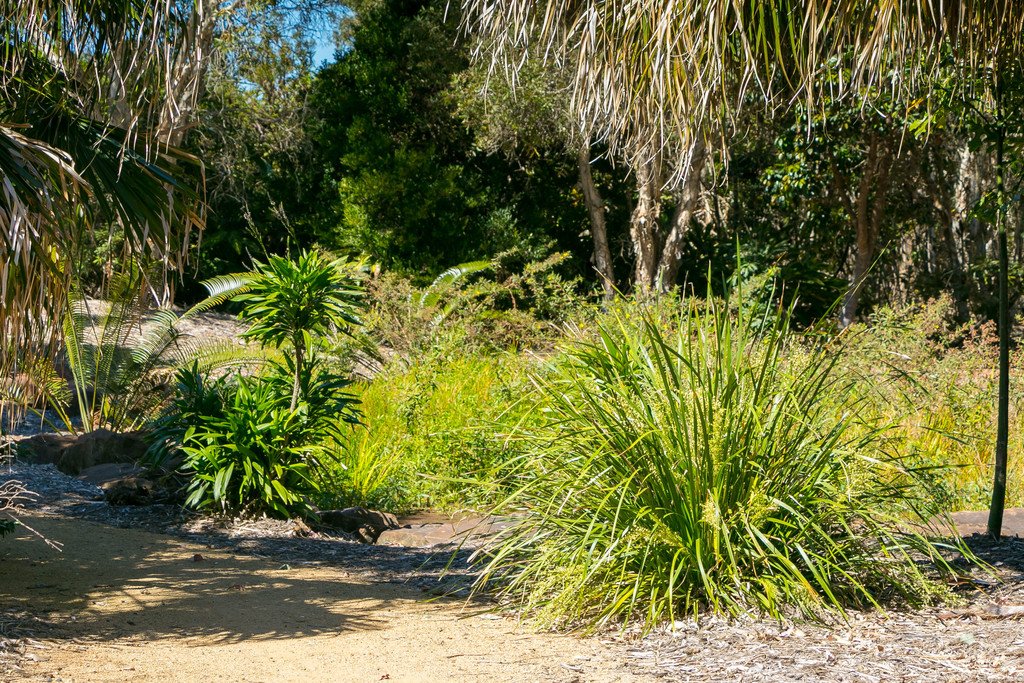 6 Seacrest Drive WONDUNNA 11