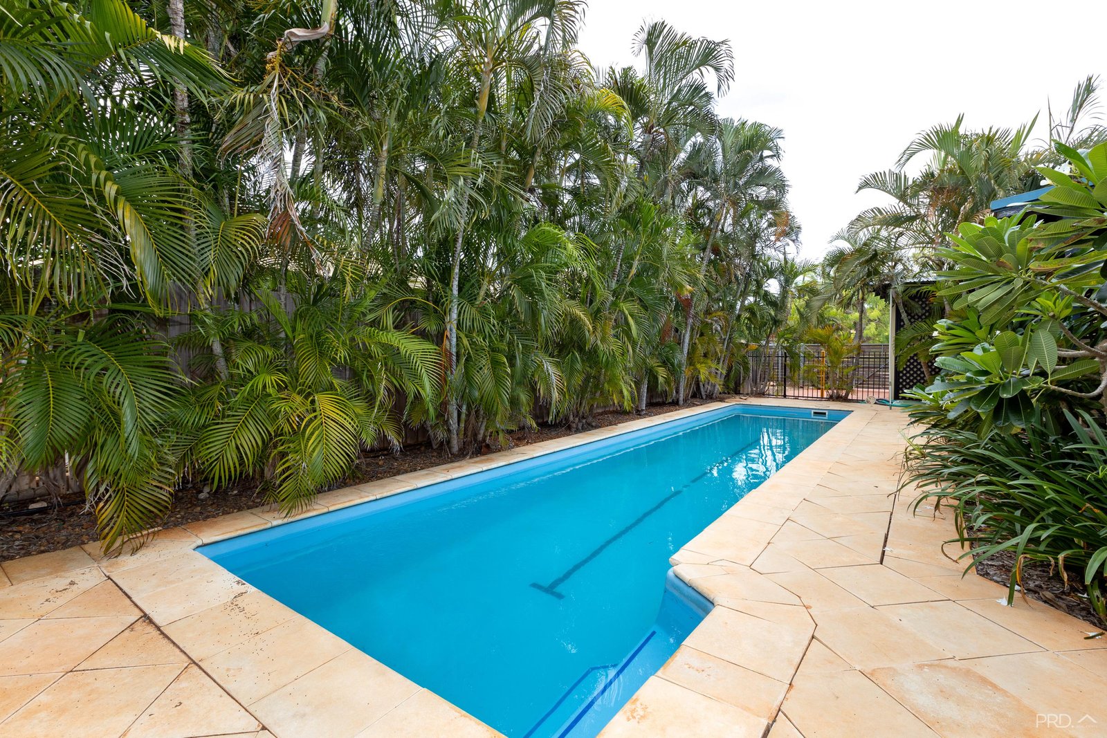 6 Shearwater Crescent DJUGUN 31