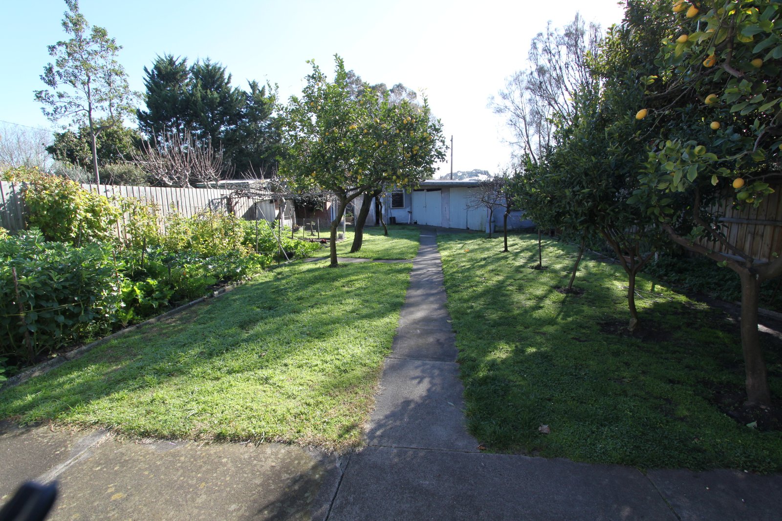 Real Estate and Property in 6 Shelley Street, Elwood, VIC