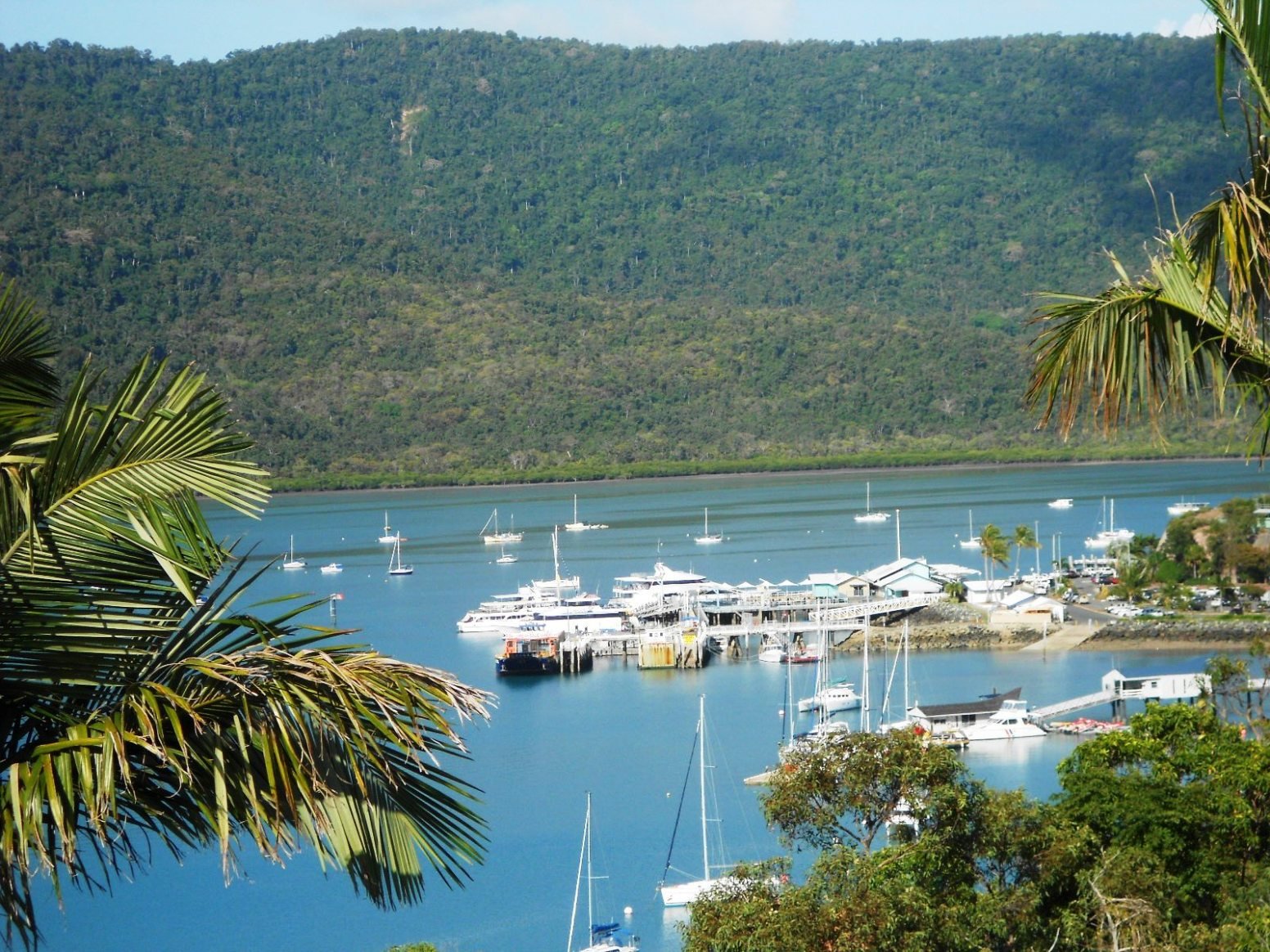 6 Shutehaven Close SHUTE HARBOUR 25