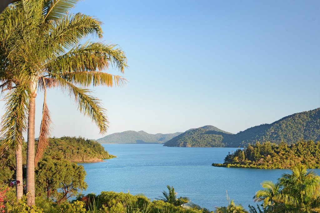 6 Shutehaven Close SHUTE HARBOUR 26