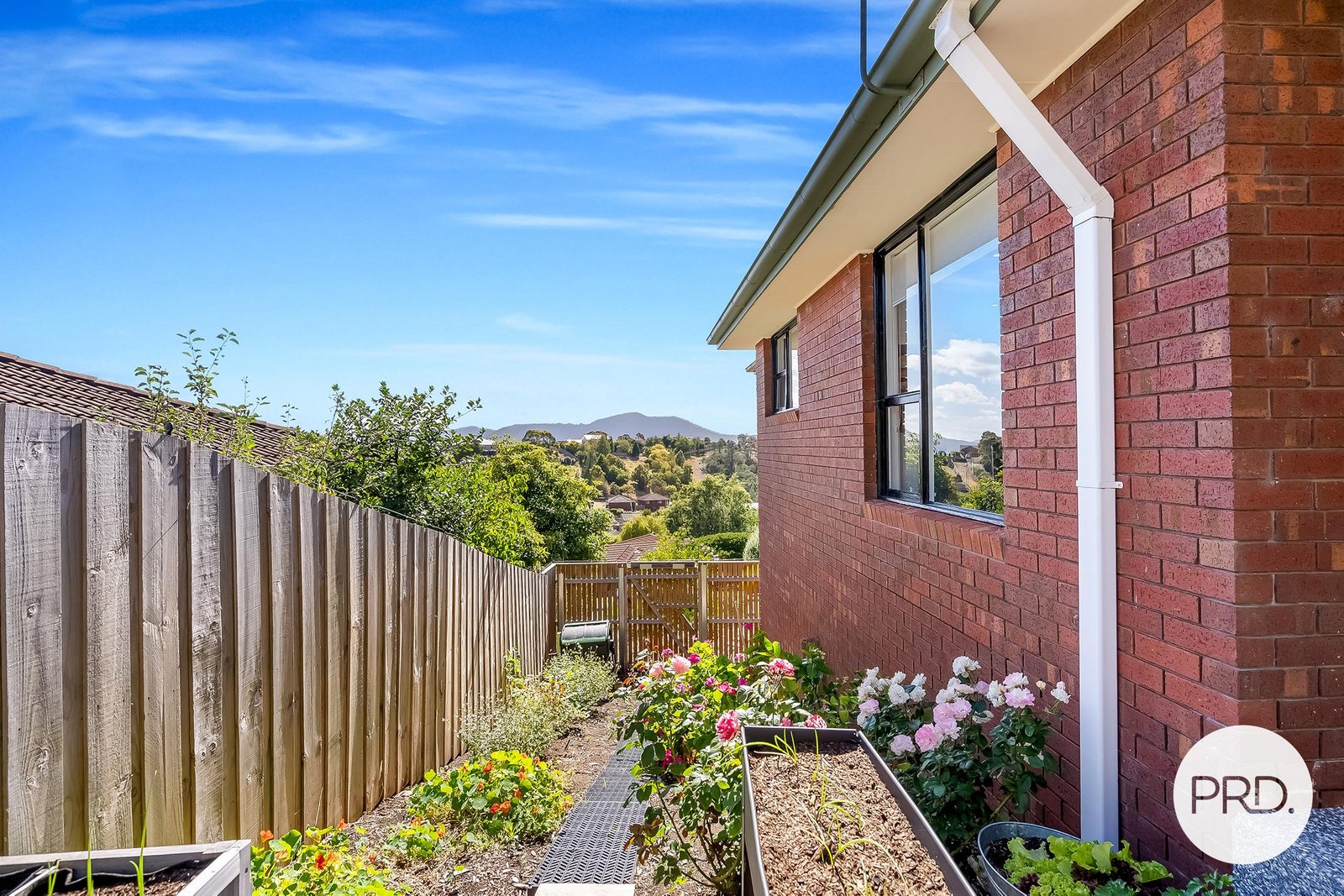 6 Simpson Place ROSETTA 32