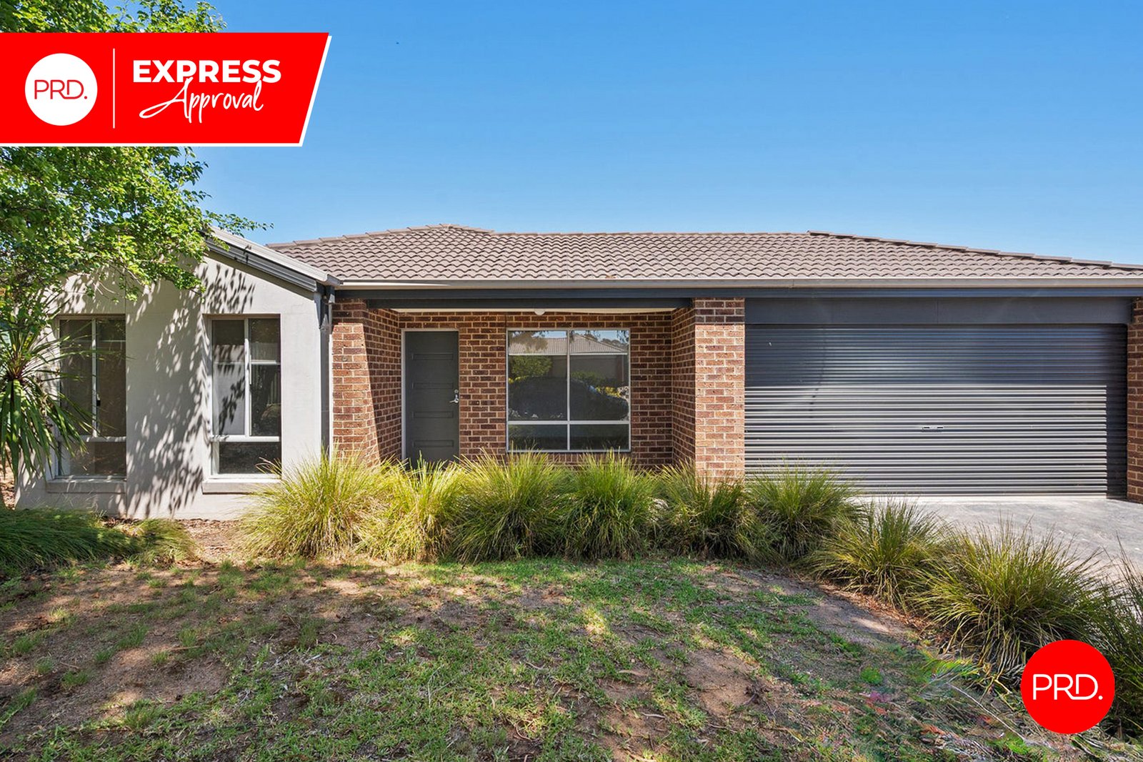 6 Sundew Drive KANGAROO FLAT 1