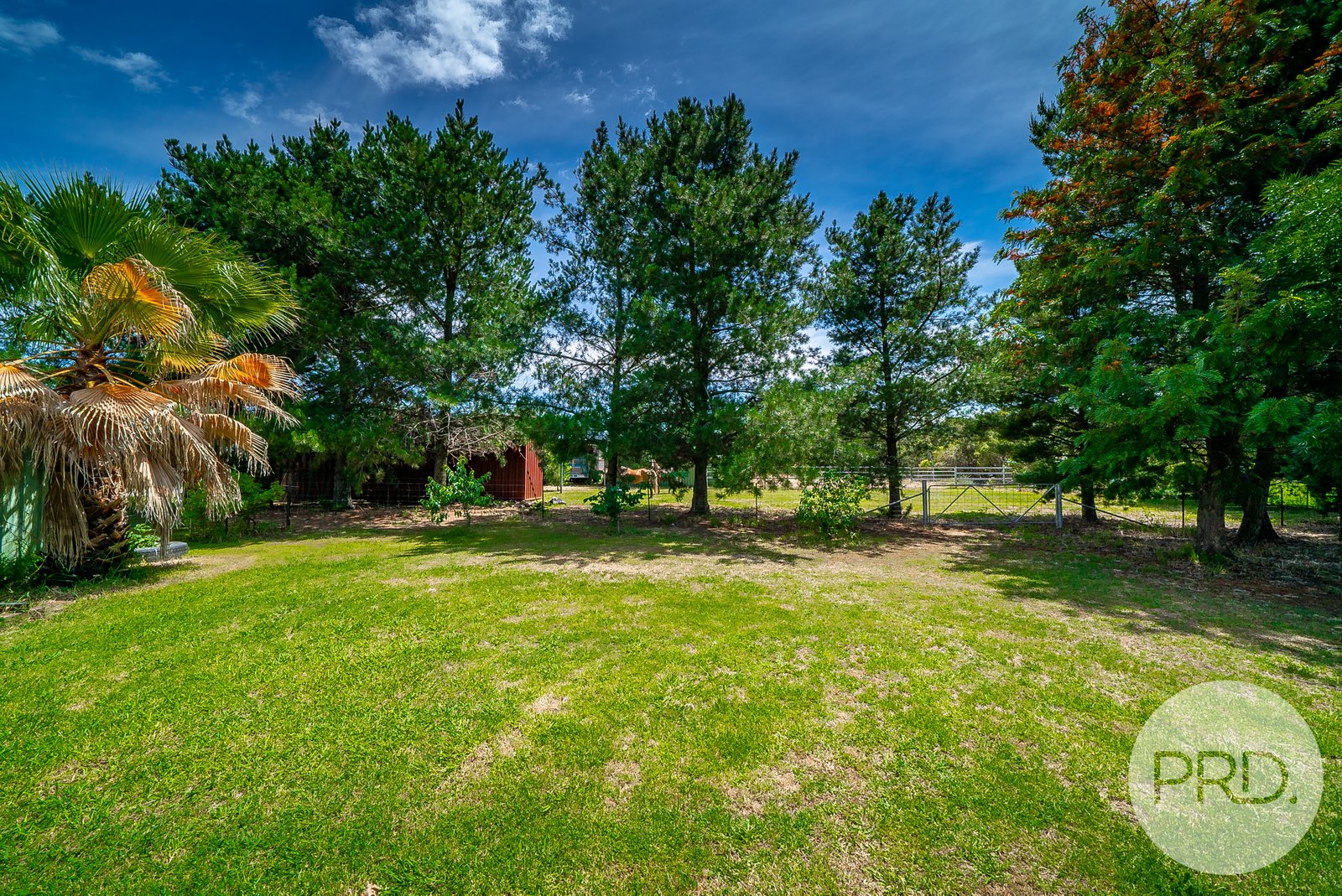 6 Tallowood Crescent LAKE ALBERT 19