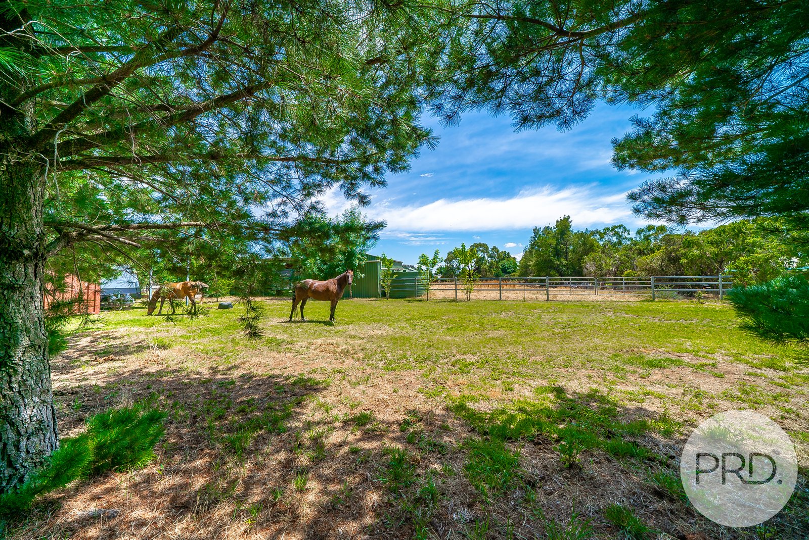 6 Tallowood Crescent LAKE ALBERT 20