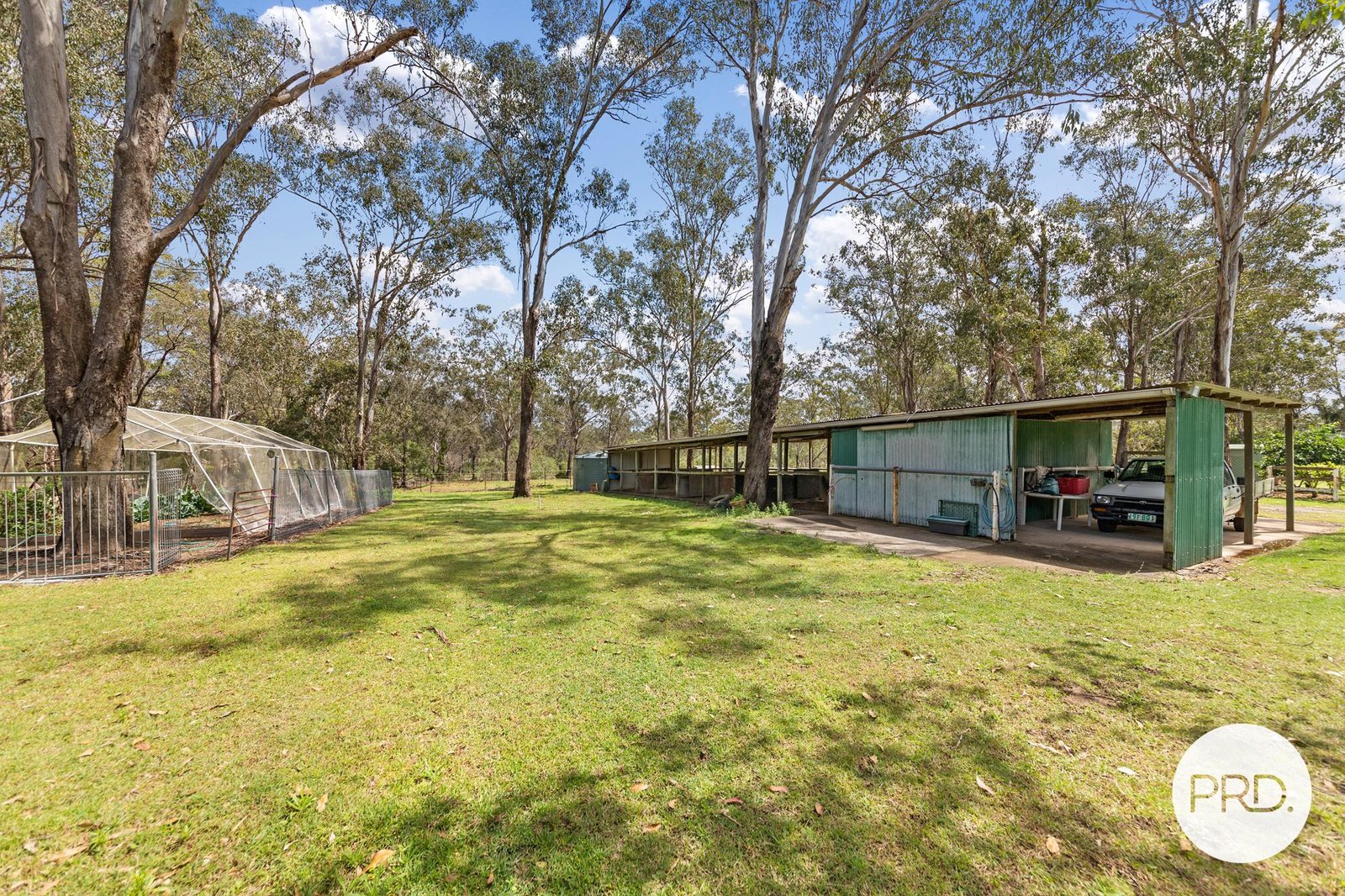 6 Tarana Avenue THAGOONA 16