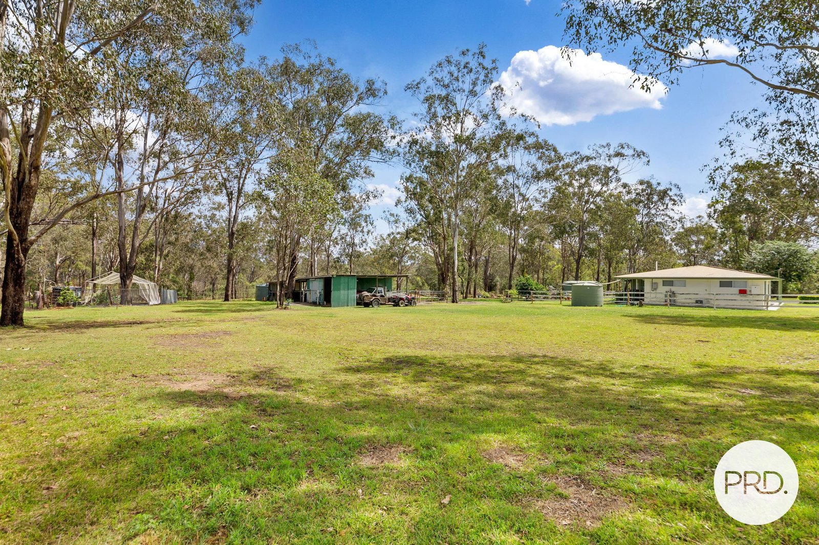 6 Tarana Avenue THAGOONA 17