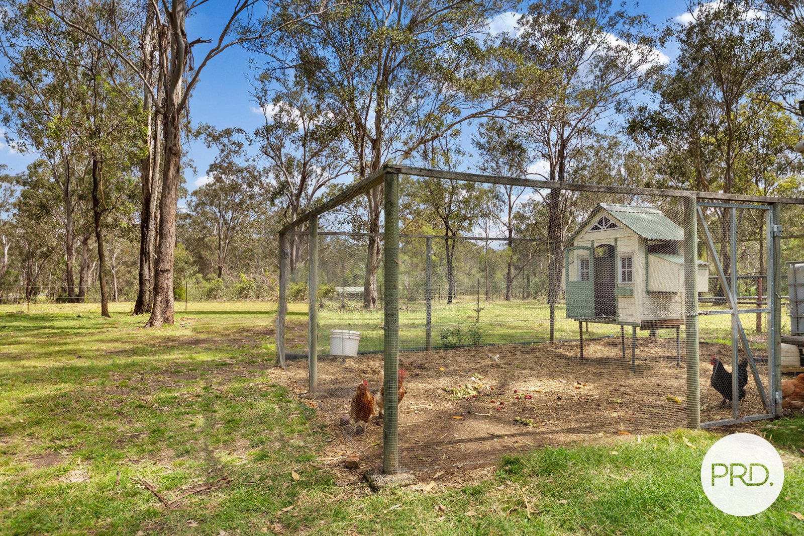 6 Tarana Avenue THAGOONA 19