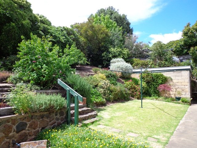 Gallery: 6 Taylor Court