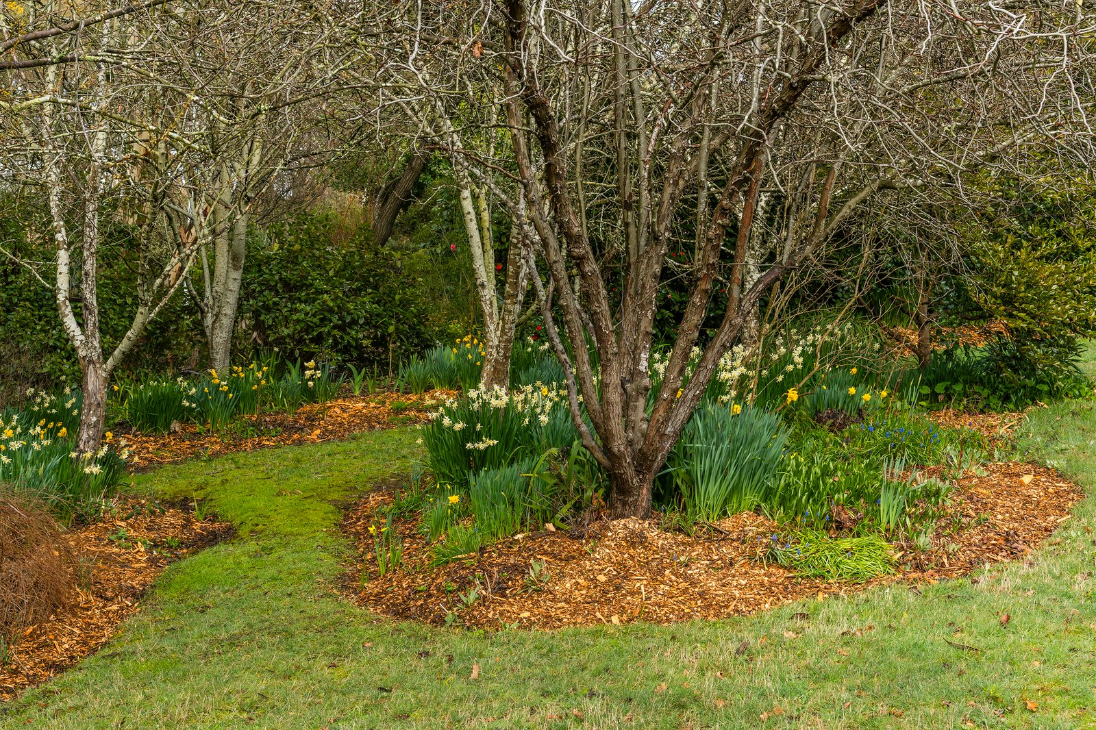 Real Estate and Property in 6 Tennyson Street, Woodend, VIC