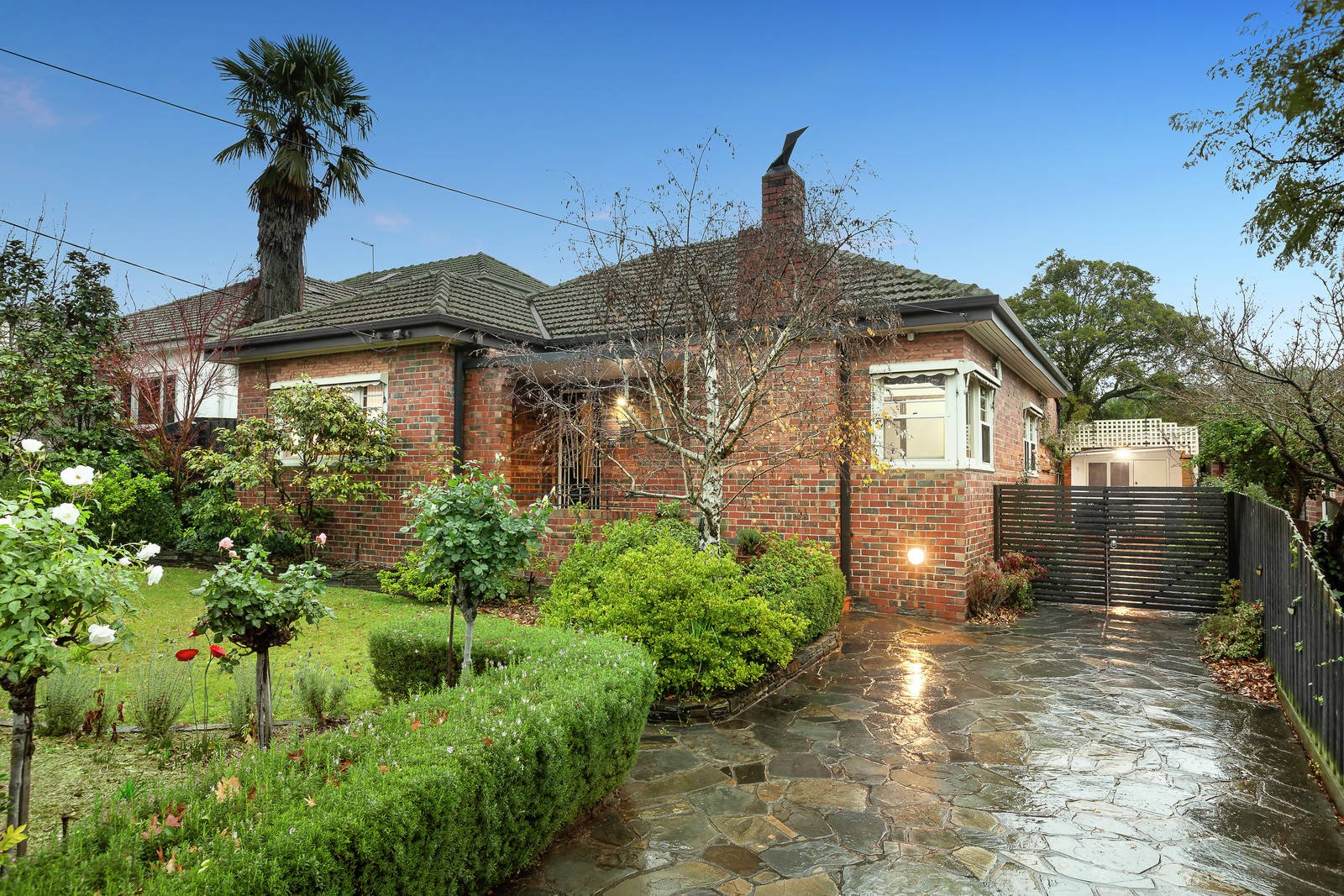 6 Theodore Street, Surrey Hills, VIC