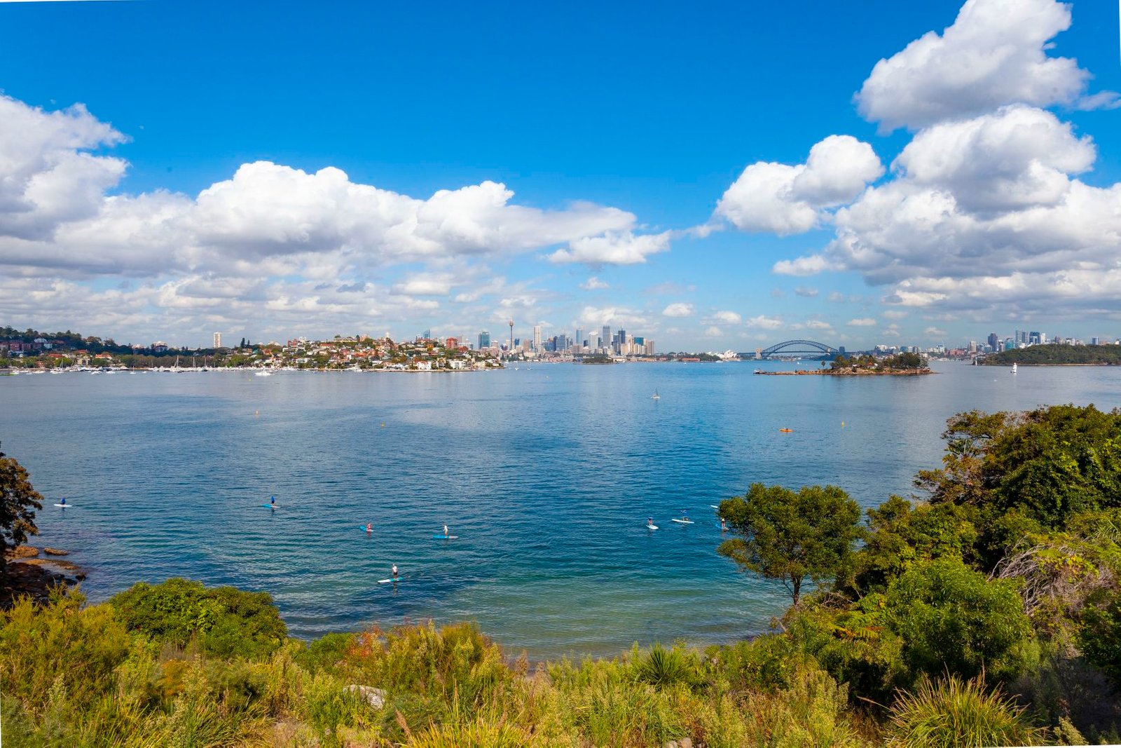 6 Tower Street VAUCLUSE 11