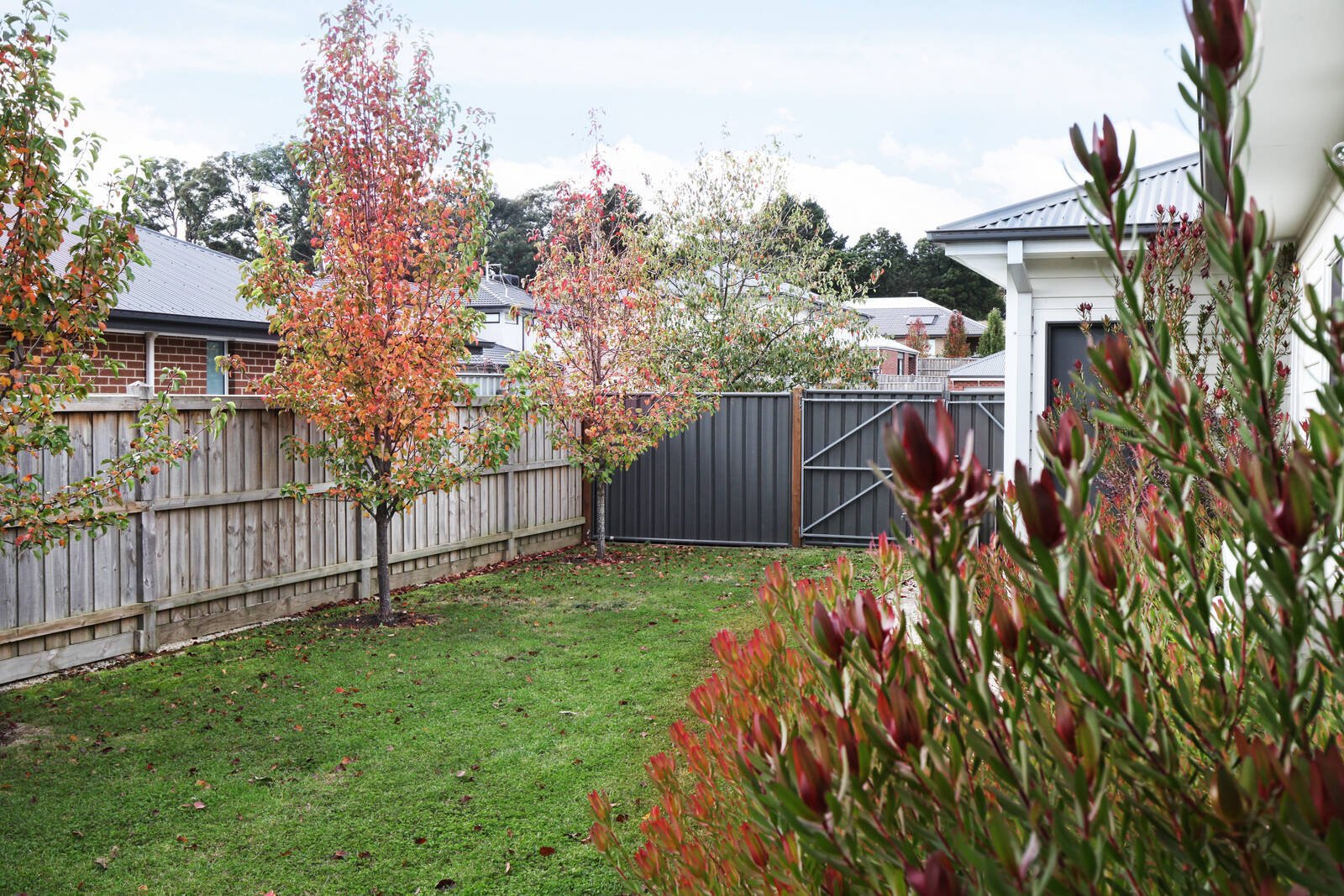 Real Estate and Property in 6 Tributary Way, Woodend, VIC