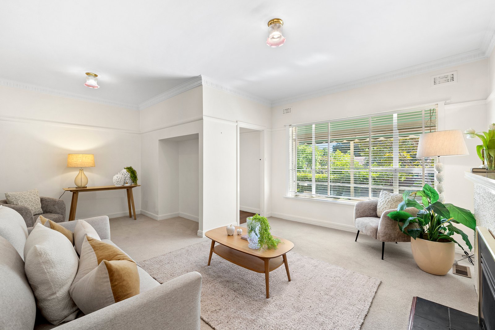 Gallery: 6 Tulip Grove