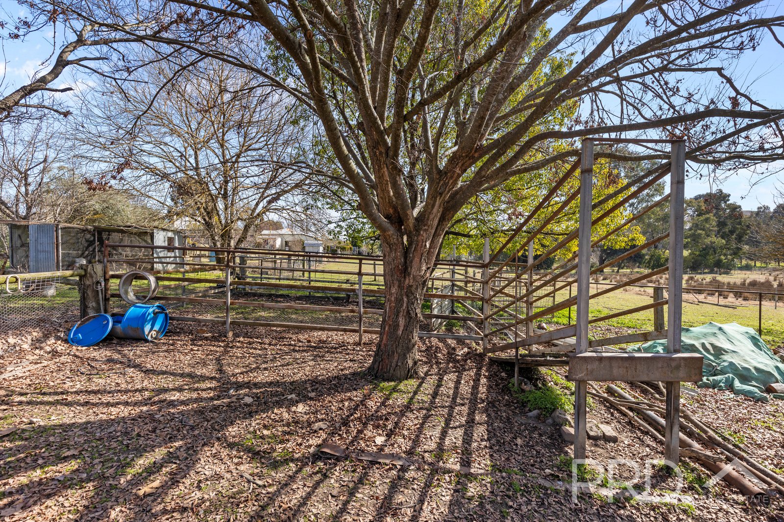 6 Tumut Street ADELONG 19
