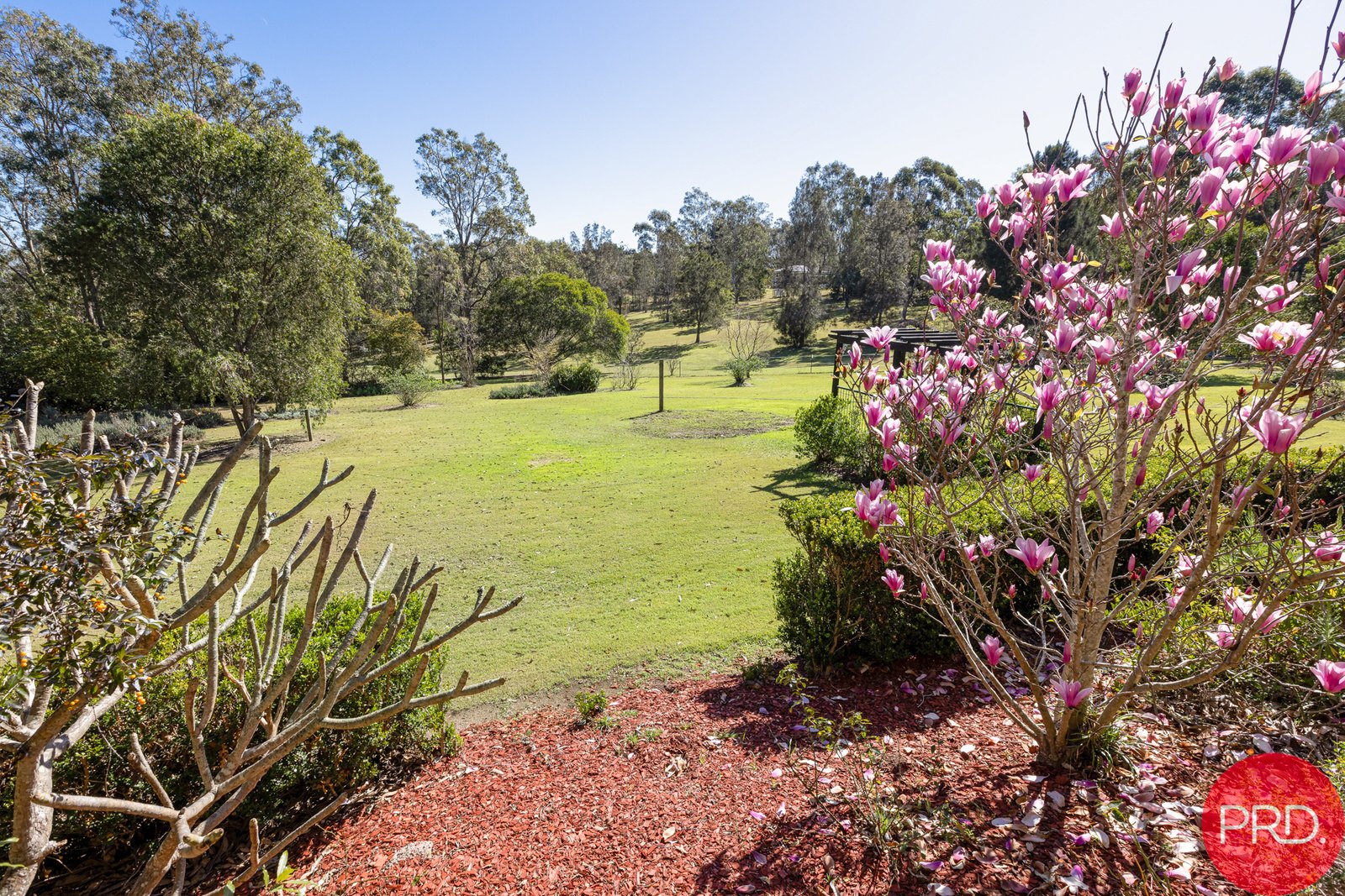 6 Werai Close BRANDY HILL 8