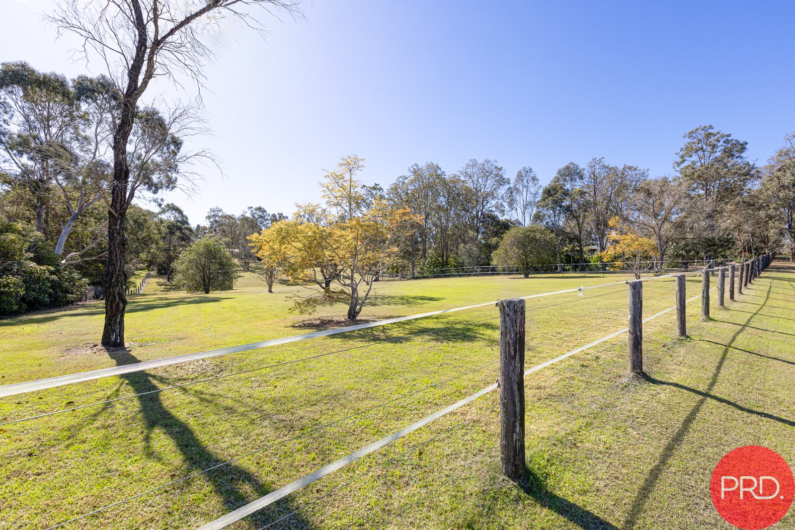 6 Werai Close BRANDY HILL 17