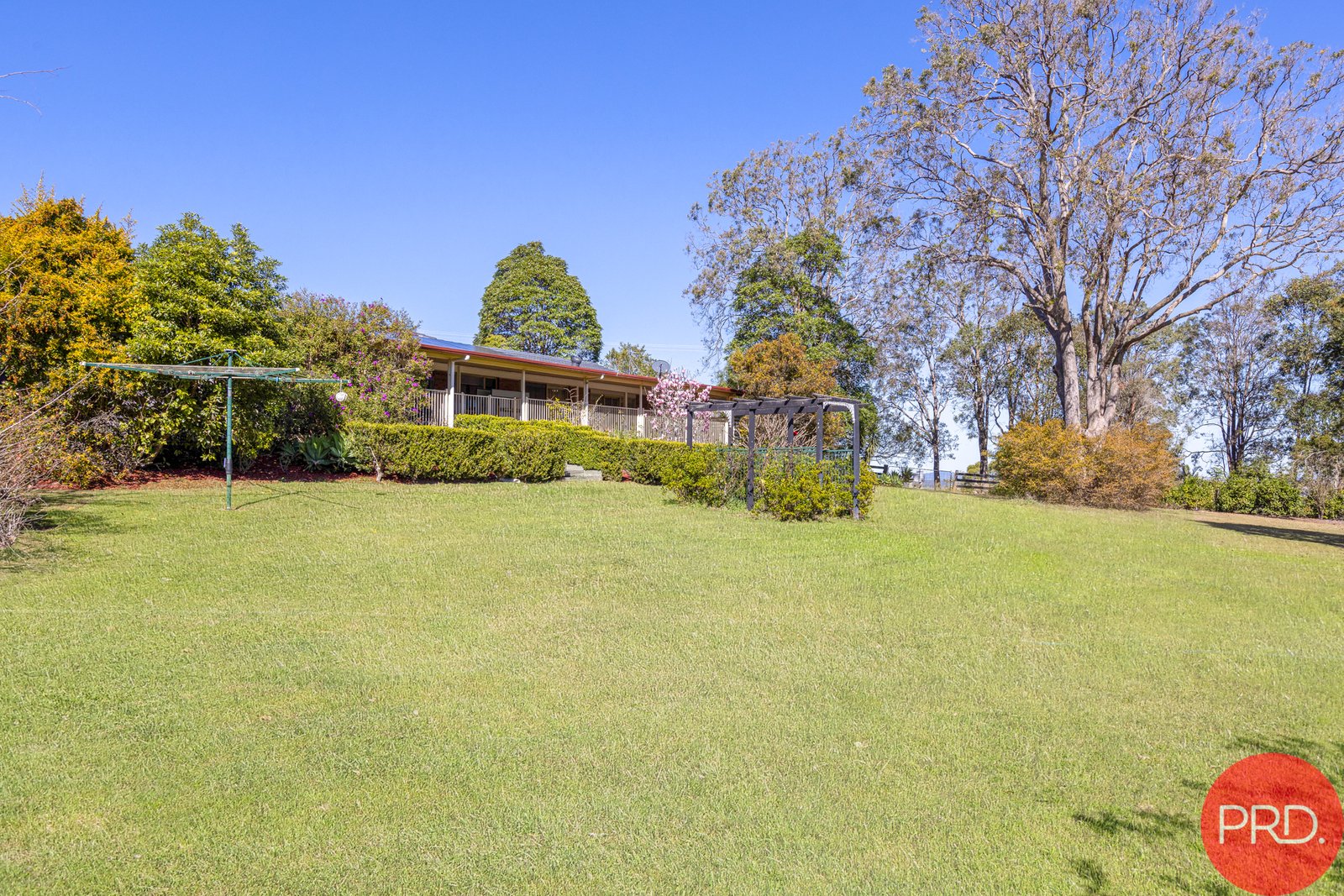 6 Werai Close BRANDY HILL 31