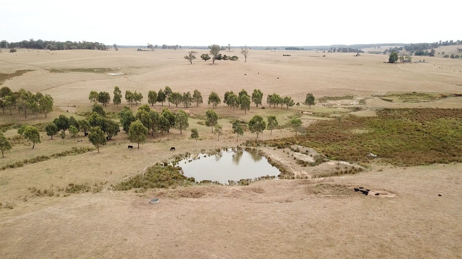 6 Wolseley Park Road TUMBARUMBA 1