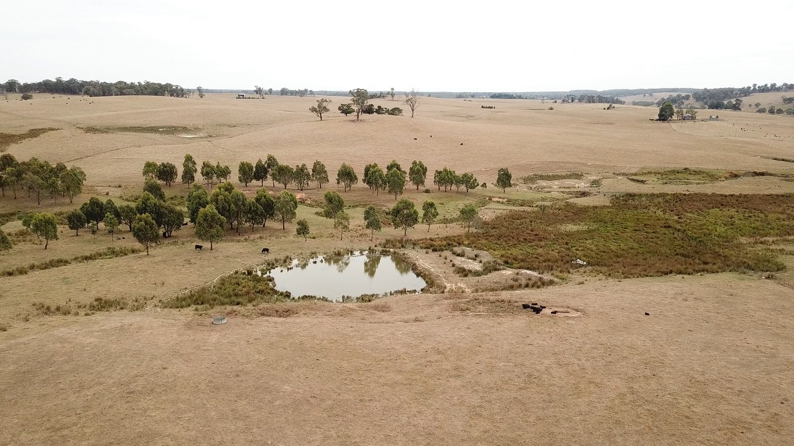 6 Wolseley Park Road TUMBARUMBA 2