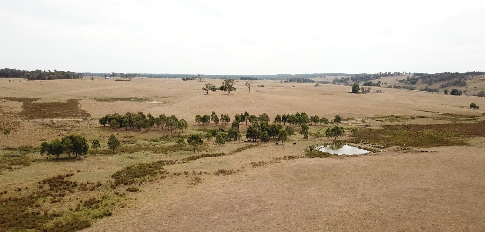 6 Wolseley Park Road TUMBARUMBA 3