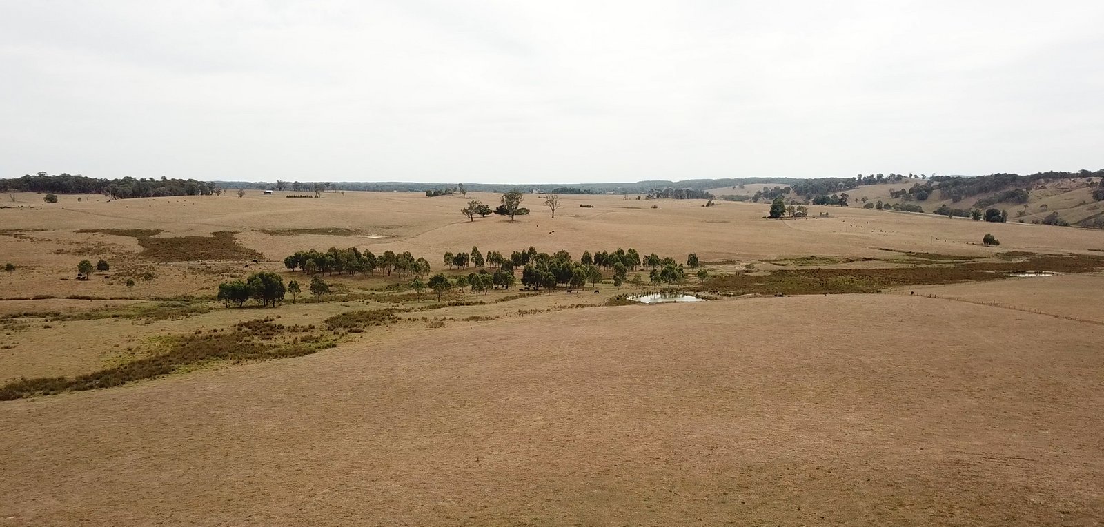 6 Wolseley Park Road TUMBARUMBA 4