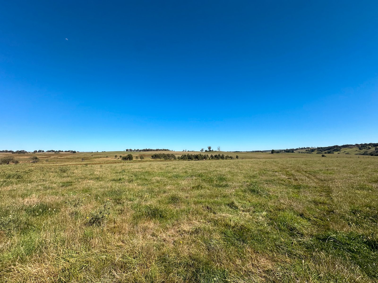 6 Wolseley Park Road TUMBARUMBA 12